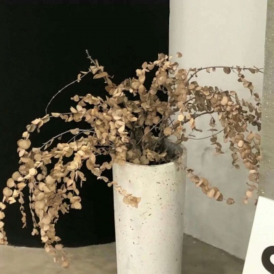 Furry赛博风格设计技巧兽圈群